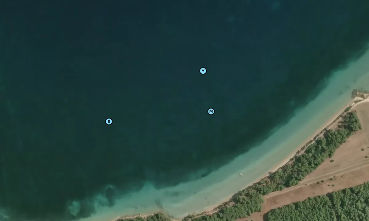 Satelite image of Isola di San Pietro