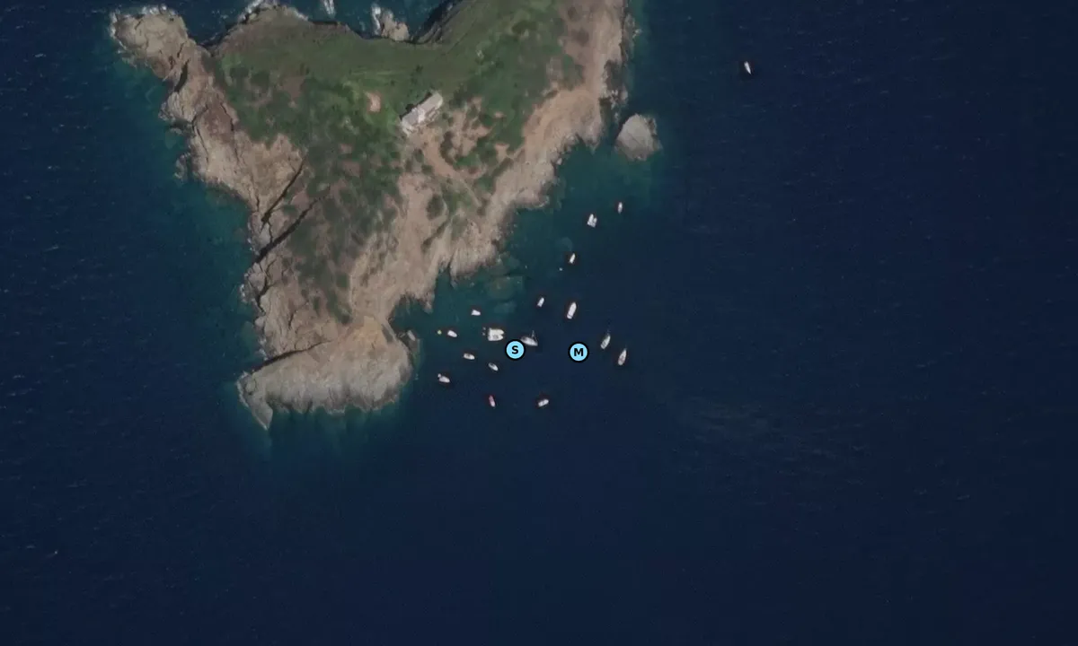 Satelite image of Isola Palmaiola South