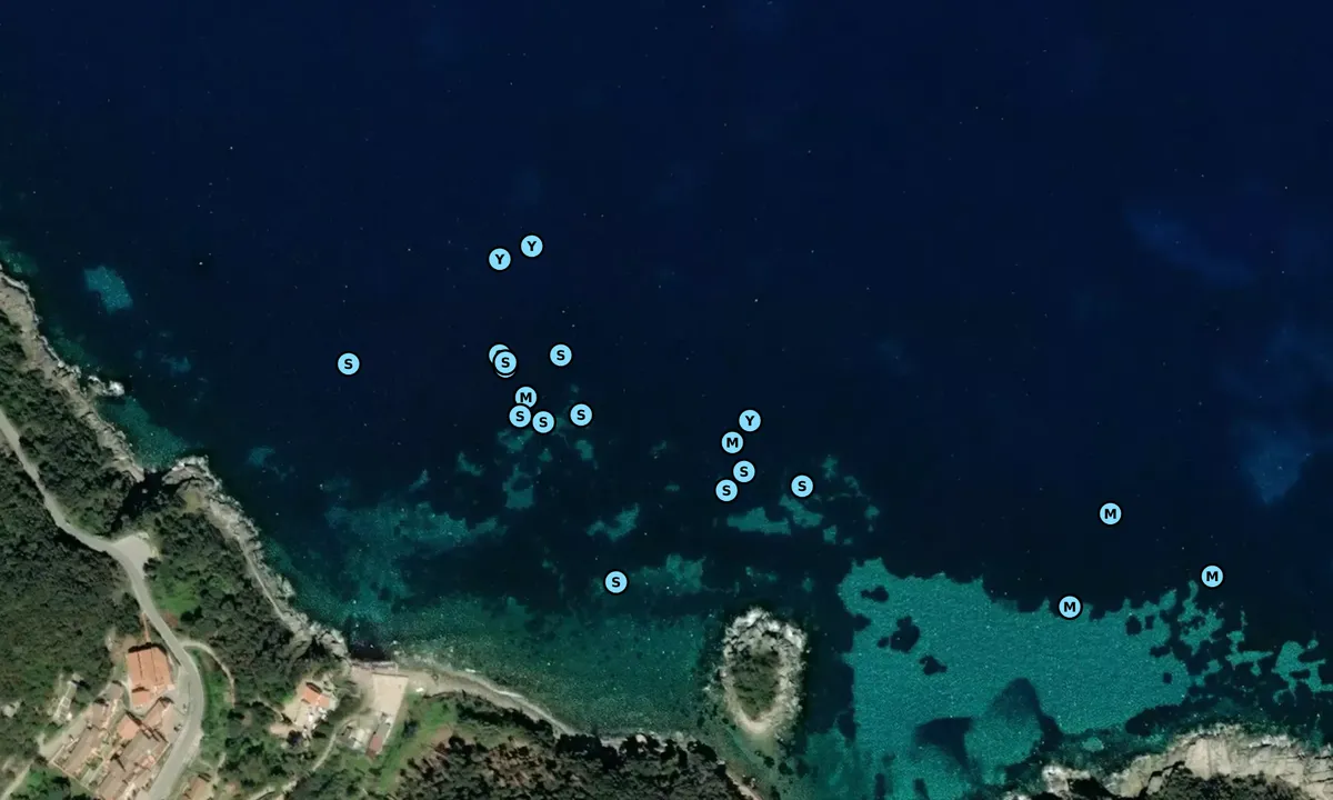 Satelite image of Isola Paolina