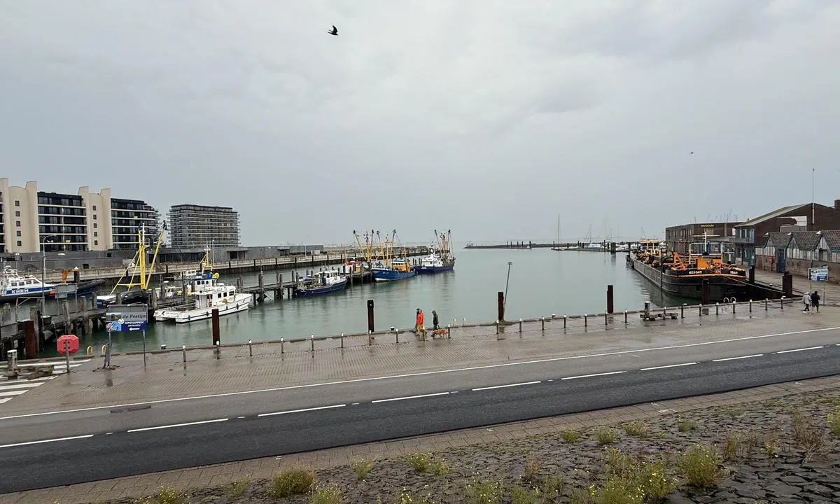 Jachthaven Breskens BV - Sluis: {"base": "da", "no": "Industri/fiskehavn", "se": "Industri/fiskehamn", "en": "Industry/fishing harbor", "da": "Indudtri/fiskehavn", "fr": "Port industriel/port de p\u00eache", "de": "Industrie-/Fischereihafen", "es": "Puerto industrial/pesquero", "it": "Porto industriale/peschereccio", "pt": "Ind\u00fastria/porto de pesca", "nl": "Industrie/visserijhaven", "pl": "Przemys\u0142owy/rybacki port", "uk": "\u0406\u043d\u0434\u0443\u0441\u0442\u0440\u0456\u0430\u043b\u044c\u043d\u0430/\u0440\u0438\u0431\u043e\u043b\u043e\u0432\u0435\u0446\u044c\u043a\u0430 \u0433\u0430\u0432\u0430\u043d\u044c", "ro": "Port industrial/pesc\u0103resc", "tr": "End\u00fcstri/bal\u0131k\u00e7\u0131 liman\u0131", "el": "\u0392\u03b9\u03bf\u03bc\u03b7\u03c7\u03b1\u03bd\u03b9\u03ba\u03cc/\u03b1\u03bb\u03b9\u03b5\u03c5\u03c4\u03b9\u03ba\u03cc \u03bb\u03b9\u03bc\u03ac\u03bd\u03b9", "cs": "Pr\u016fmyslov\u00fd/ryb\u00e1\u0159sk\u00fd p\u0159\u00edstav", "hu": "Ipar/kik\u00f6t\u0151", "fi": "Teollisuus-/kalasatama", "bg": "\u0418\u043d\u0434\u0443\u0441\u0442\u0440\u0438\u0430\u043b\u043d\u043e/\u0440\u0438\u0431\u0430\u0440\u0441\u043a\u043e \u043f\u0440\u0438\u0441\u0442\u0430\u043d\u0438\u0449\u0435", "sr": "\u0418\u043d\u0434\u0443\u0441\u0442\u0440\u0438\u0458\u0441\u043a\u0430/\u0440\u0438\u0431\u0459\u0430\u0447\u043a\u0430 \u043b\u0443\u043a\u0430", "et": "T\u00f6\u00f6stus/kala sadam", "lv": "R\u016bpniec\u012bbas/zvejas osta", "lt": "Pramon\u0117s/\u017evejybos uostas"}