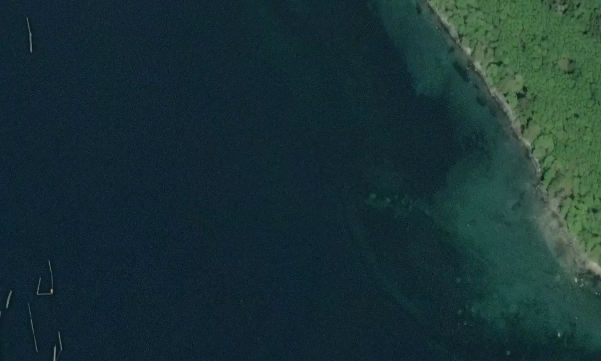 Satelite image of Jackson Bay