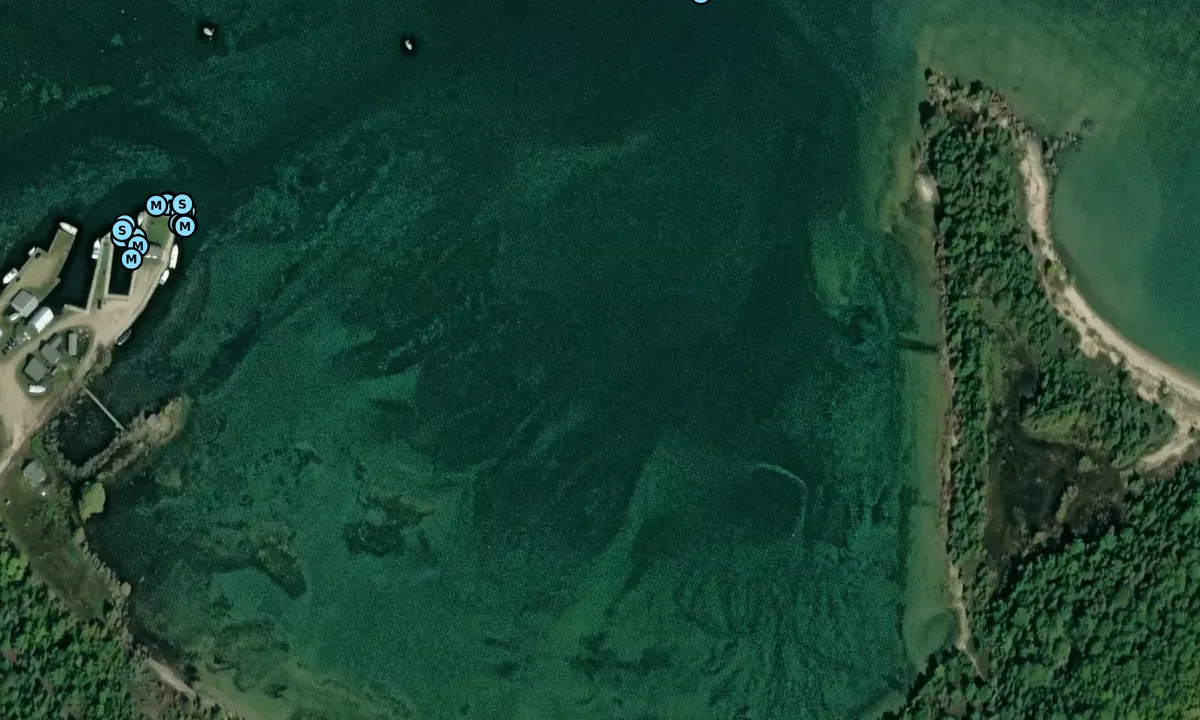 Satelite image of Jackson Harbor 1