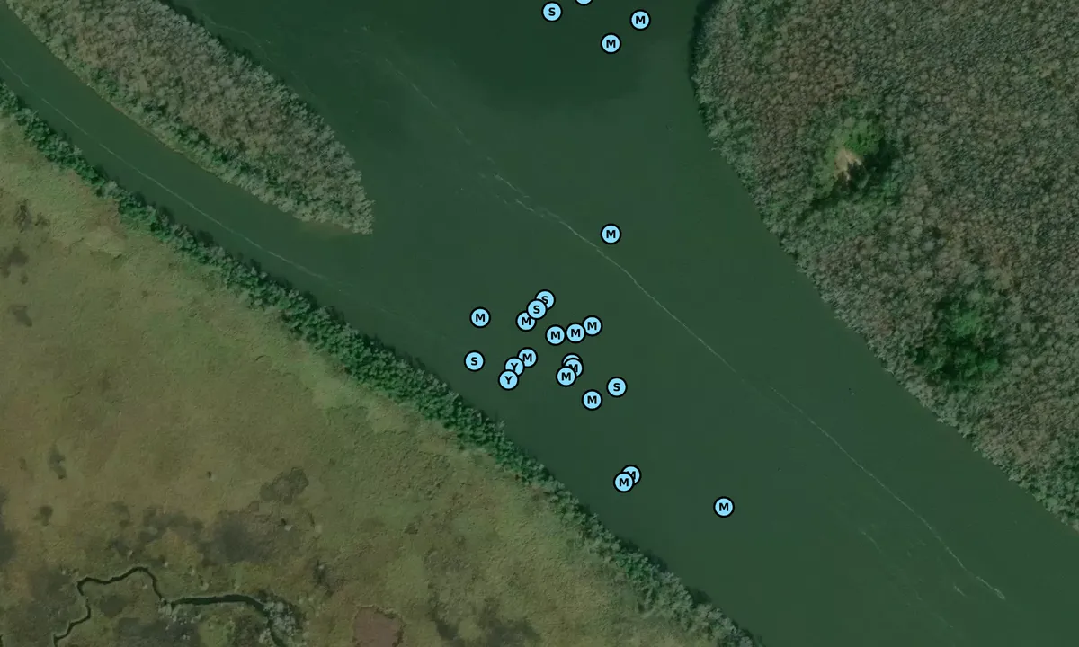 Satelite image of Jackson Saul