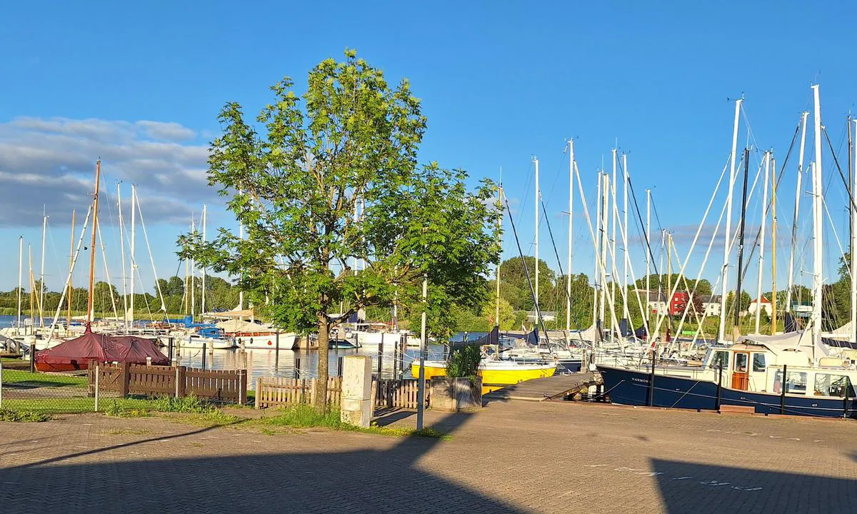 Jaich Hafen Arnis