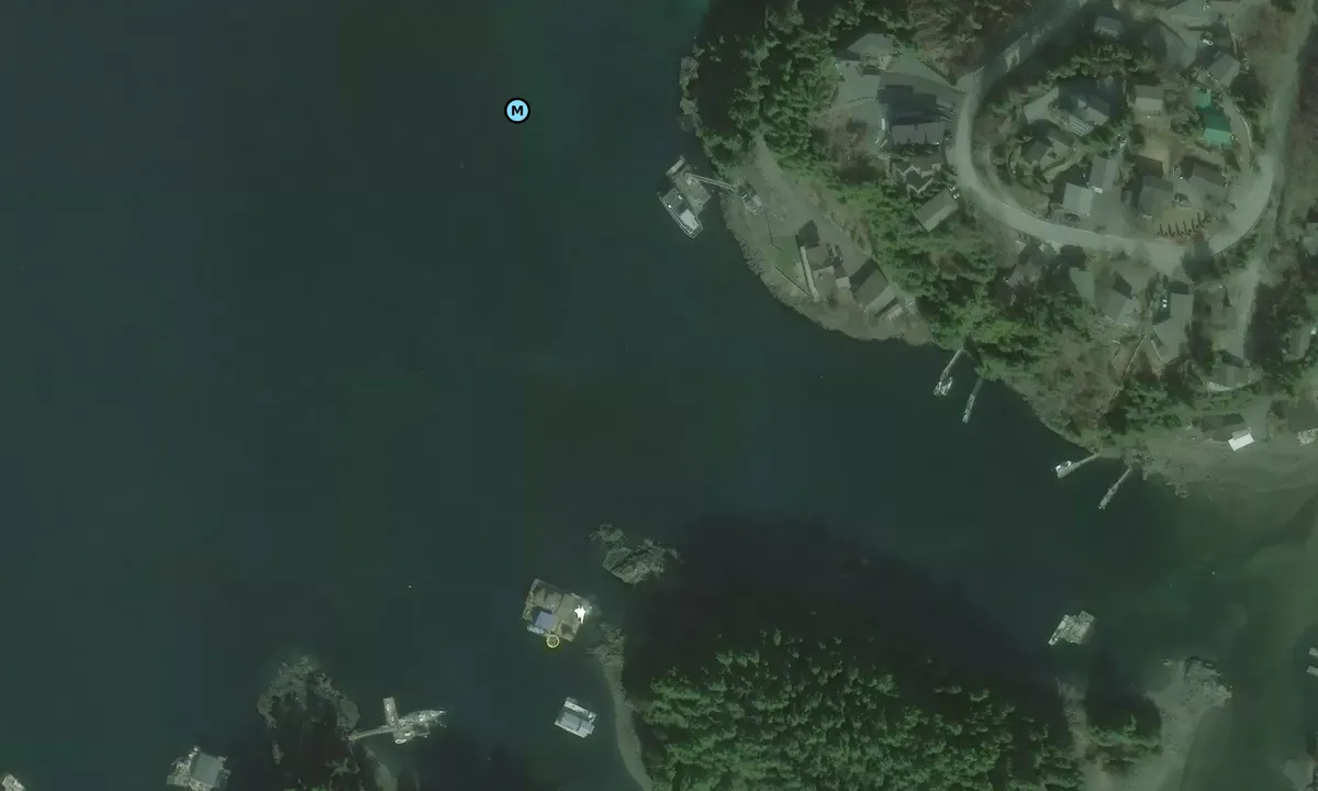 Satelite image of Jamestown Bay