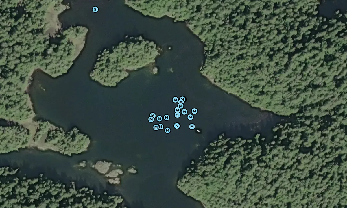 Satelite image of Jaques-Jarvis Lagoon