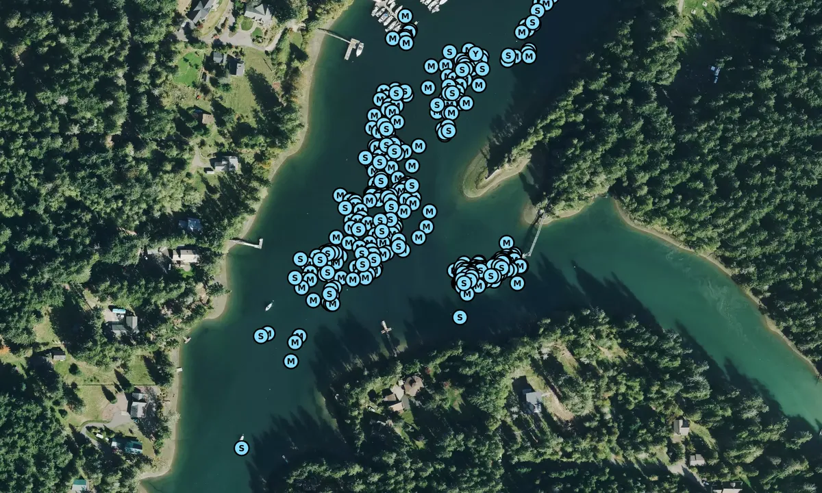 Satelite image of Jarrell Cove State Park