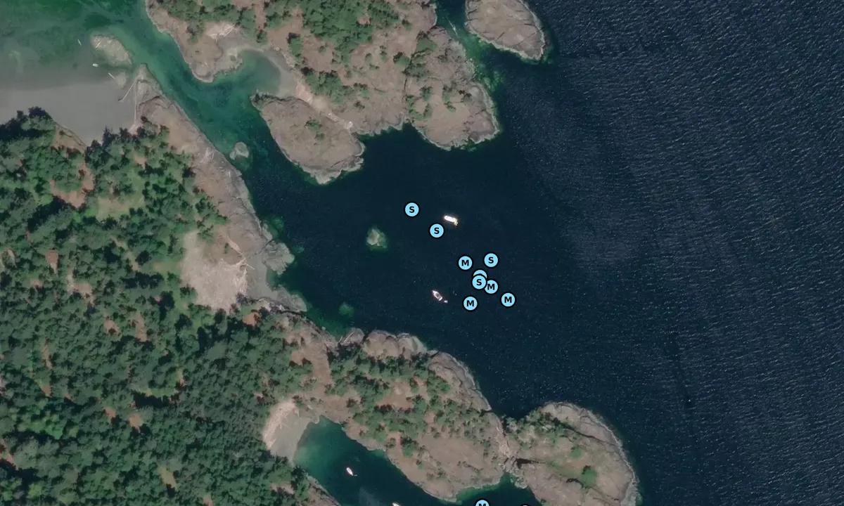 Satelite image of Jedediah Island - Home Bay