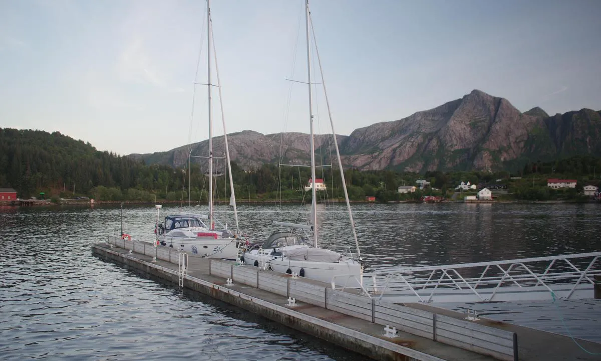 Jektvika