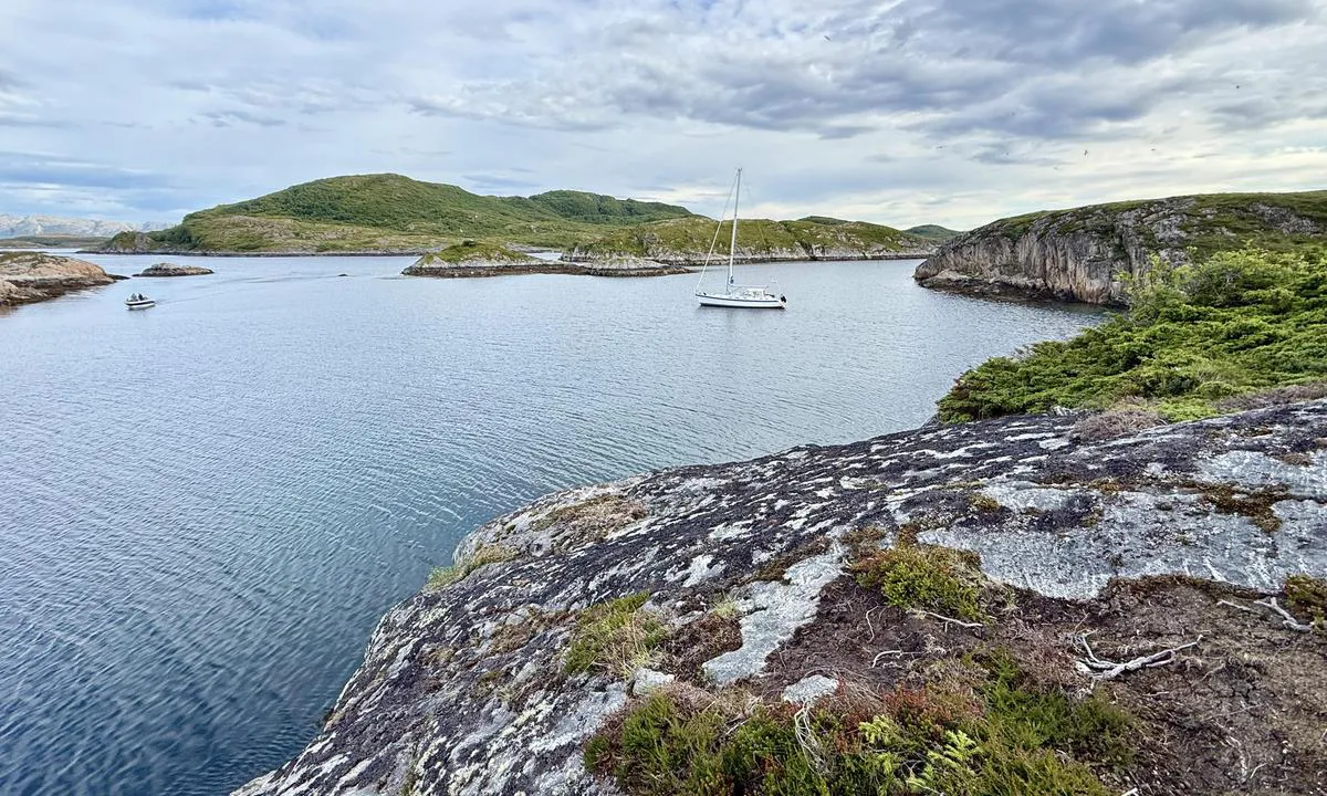 Jensøya