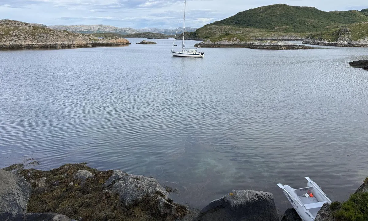 Jensøya