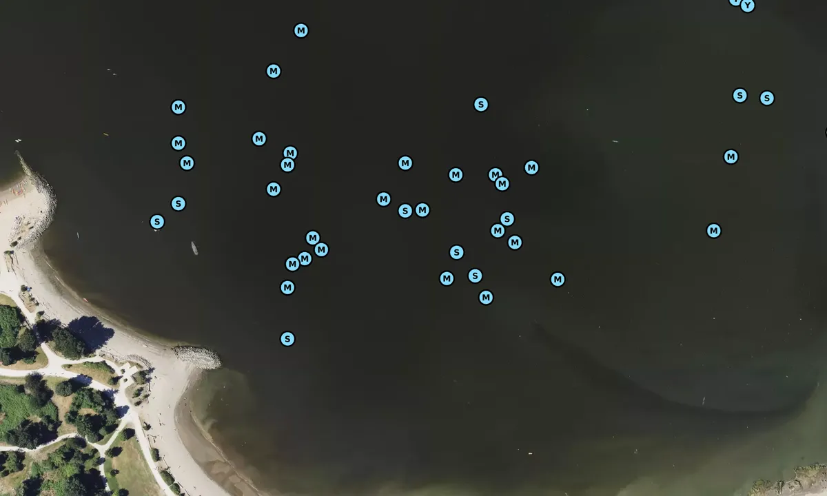 Satelite image of Jericho Beach - Vancouver