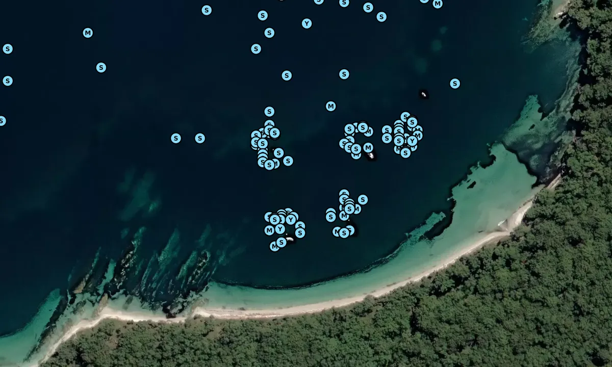 Satelite image of Jervis Bay (moorings)