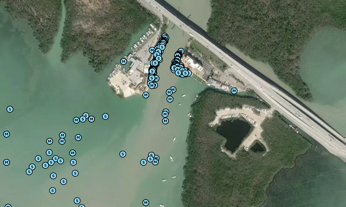 Satelite image of Jewfish Creek