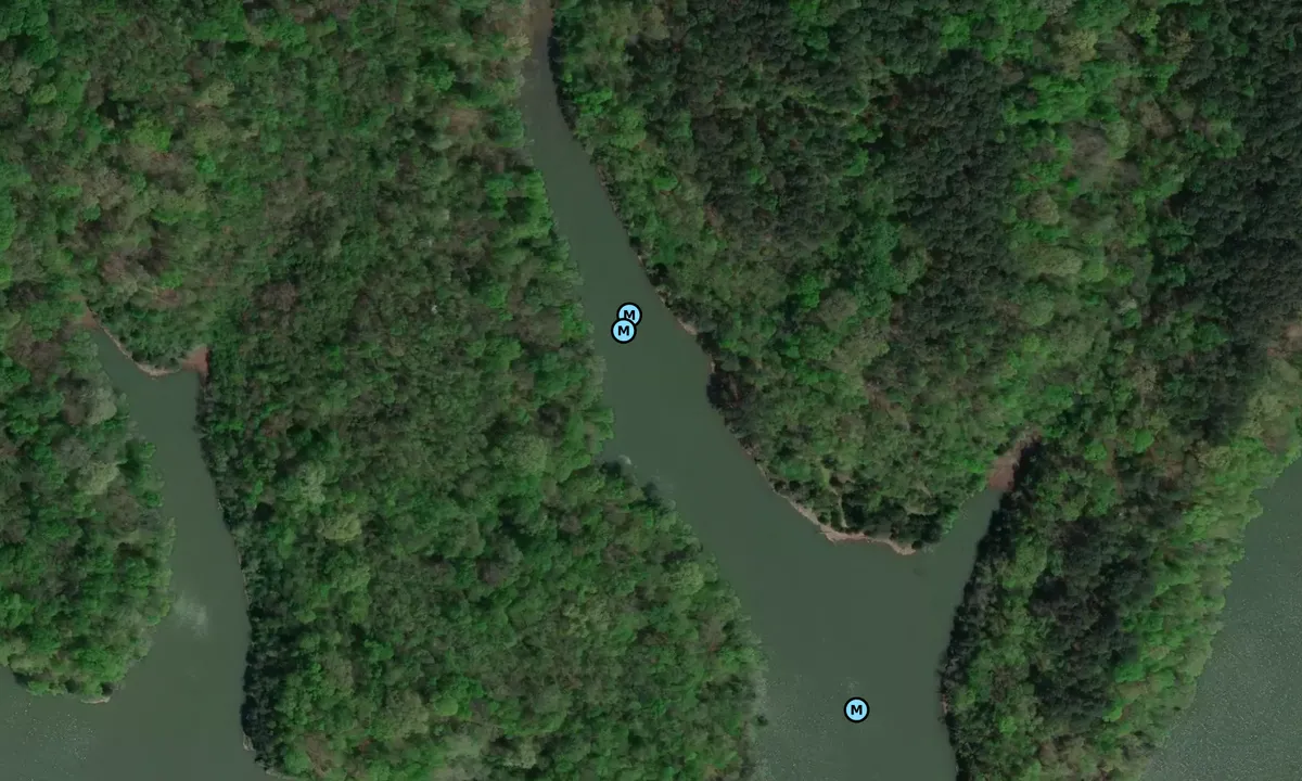 Satelite image of Joe Wheeler
