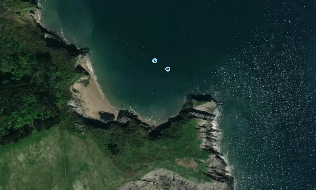 Satelite image of Jone's Bay