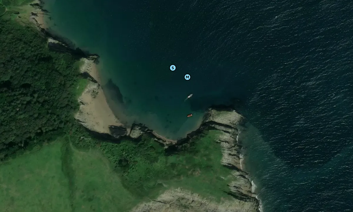 Satelite image of Jone's Bay