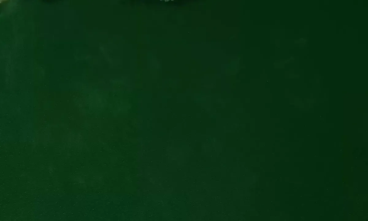 Satelite image of Jones Creek