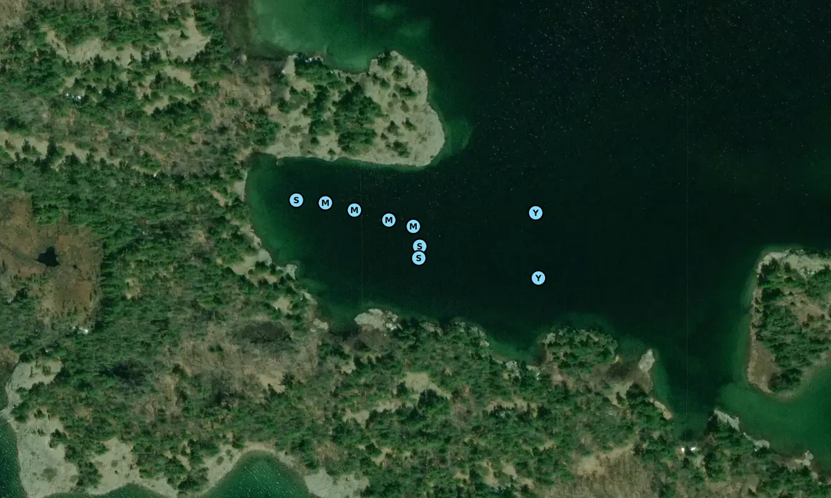 Satelite image of Jones Point
