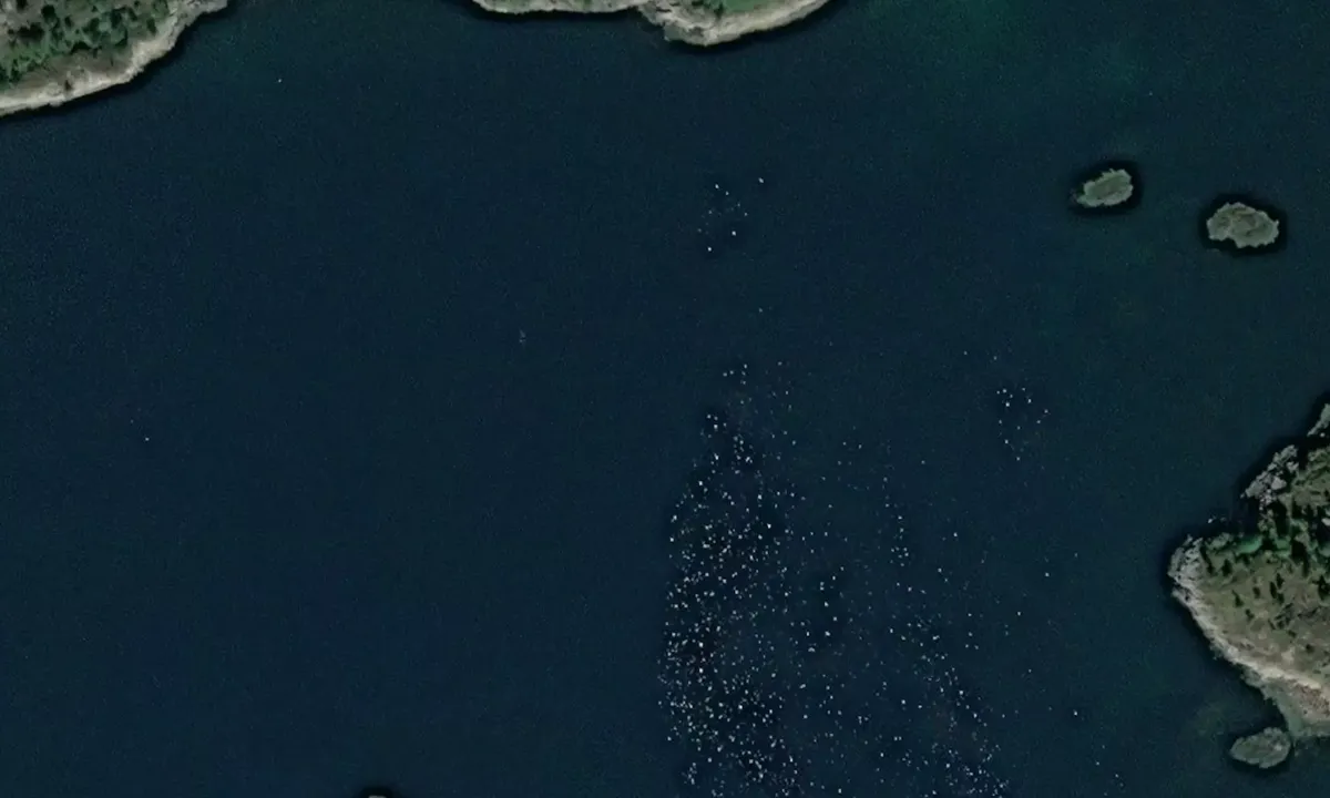 Satelite image of Jørnevågen