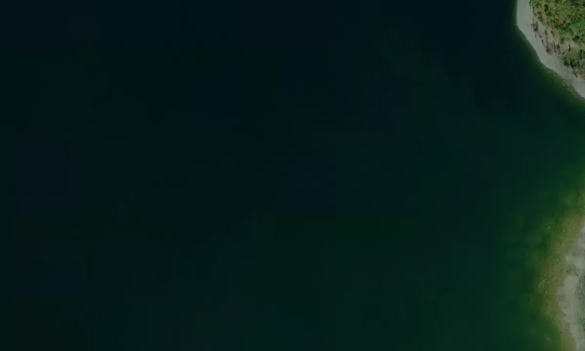 Satelite image of Jungle