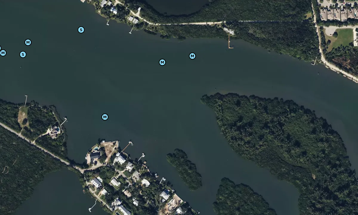 Satelite image of Jungle Trail