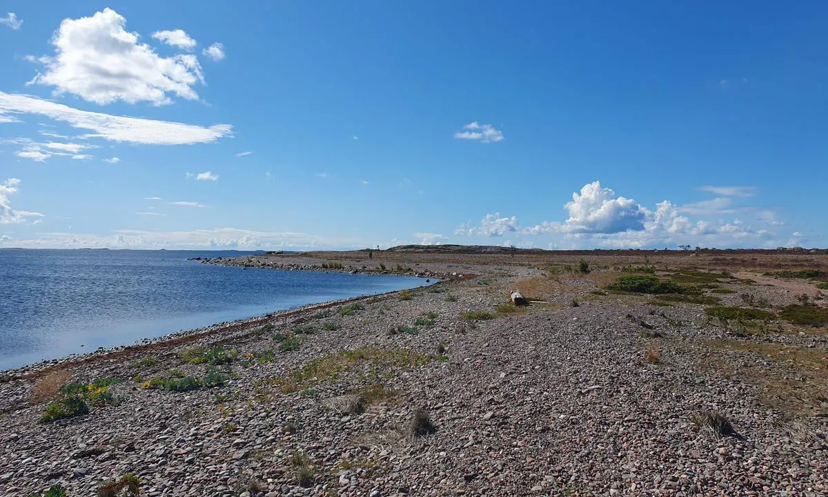 Jurmo (Saaristomeri)