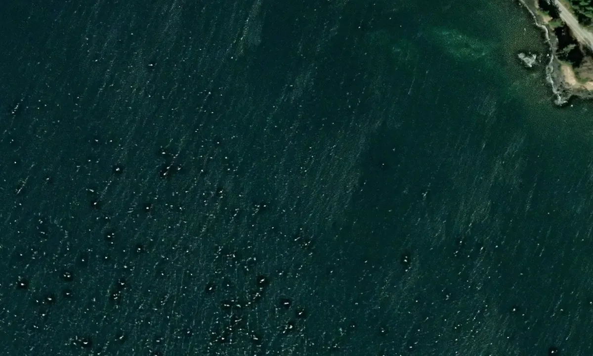 Satelite image of Kake