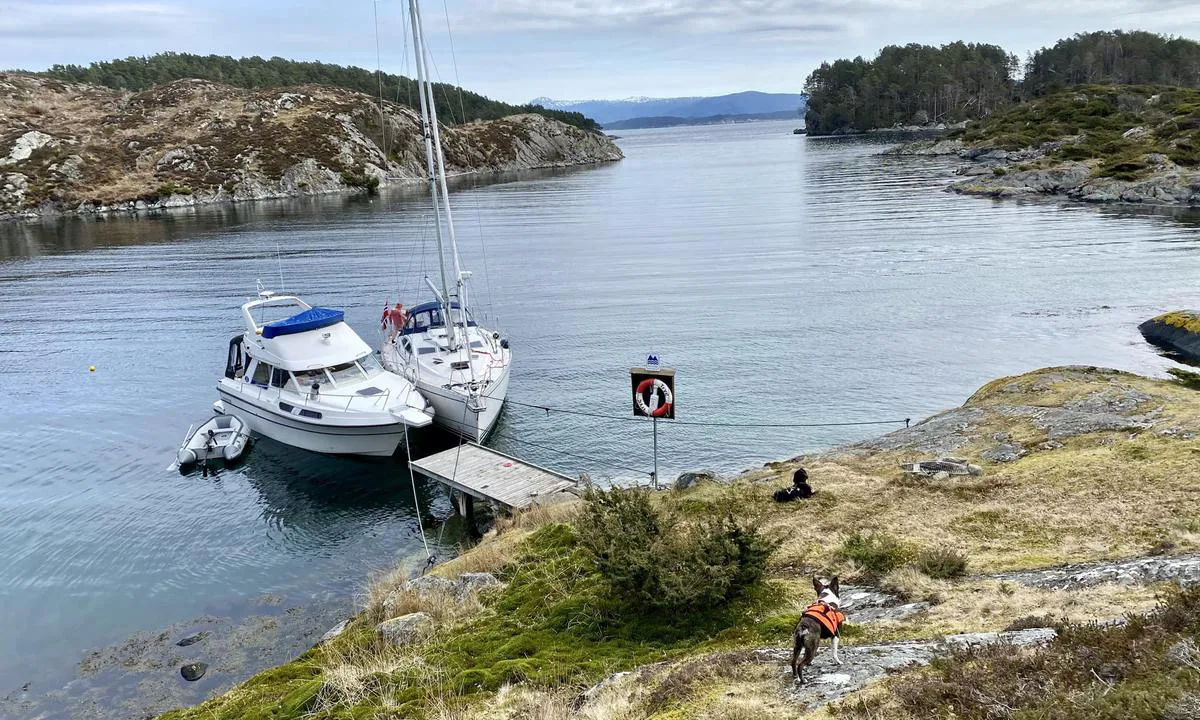 Kalsundholmen Austevoll: Hekkanker.