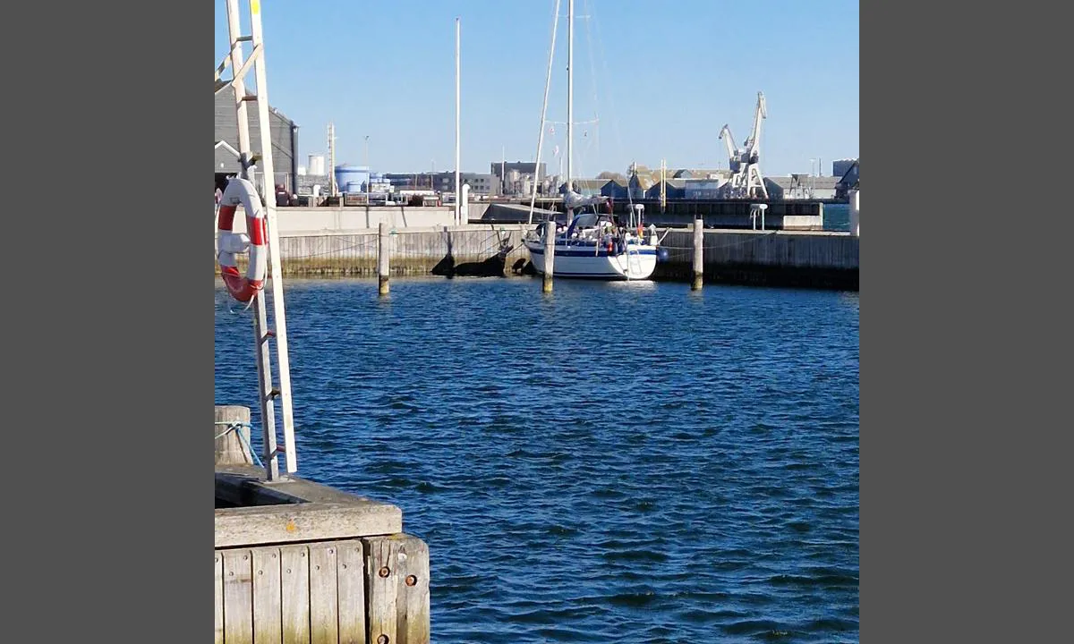 Kalundborg Vesthavn: {"base": "en", "no": "Utsikt fra den andre siden", "se": "Utsikt fr\u00e5n andra sidan", "en": "View from the other side", "da": "Udsigt fra den anden side", "fr": "Vue de l'autre c\u00f4t\u00e9", "de": "Aussicht von der anderen Seite", "es": "Vista desde el otro lado", "it": "Vista dall'altro lato", "pt": "Vista do outro lado", "nl": "Uitzicht vanaf de andere kant", "pl": "Widok z drugiej strony", "uk": "\u0412\u0438\u0434 \u0437 \u0456\u043d\u0448\u043e\u0433\u043e \u0431\u043e\u043a\u0443", "ro": "Vedere de pe cealalt\u0103 parte", "tr": "Di\u011fer taraftan g\u00f6r\u00fcn\u00fcm", "el": "\u0398\u03ad\u03b1 \u03b1\u03c0\u03cc \u03c4\u03b7\u03bd \u03ac\u03bb\u03bb\u03b7 \u03c0\u03bb\u03b5\u03c5\u03c1\u03ac", "cs": "Pohled z druh\u00e9 strany", "hu": "Kil\u00e1t\u00e1s a m\u00e1sik oldalr\u00f3l", "fi": "N\u00e4kym\u00e4 toiselta puolelta", "bg": "\u0418\u0437\u0433\u043b\u0435\u0434 \u043e\u0442 \u0434\u0440\u0443\u0433\u0430\u0442\u0430 \u0441\u0442\u0440\u0430\u043d\u0430", "sr": "Pogled sa druge strane", "et": "Vaade teiselt poolt", "lv": "Skats no otras puses", "lt": "Vaizdas i\u0161 kitos pus\u0117s"}