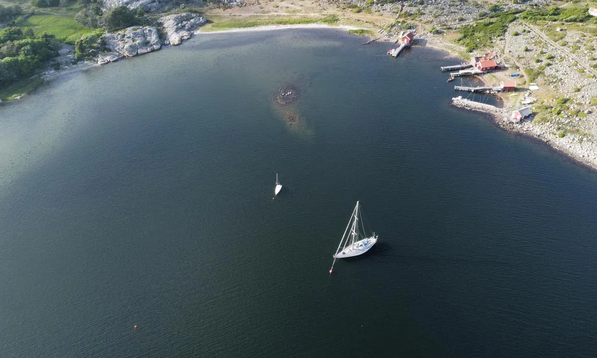 Kalvön Fiskehamn anchorage