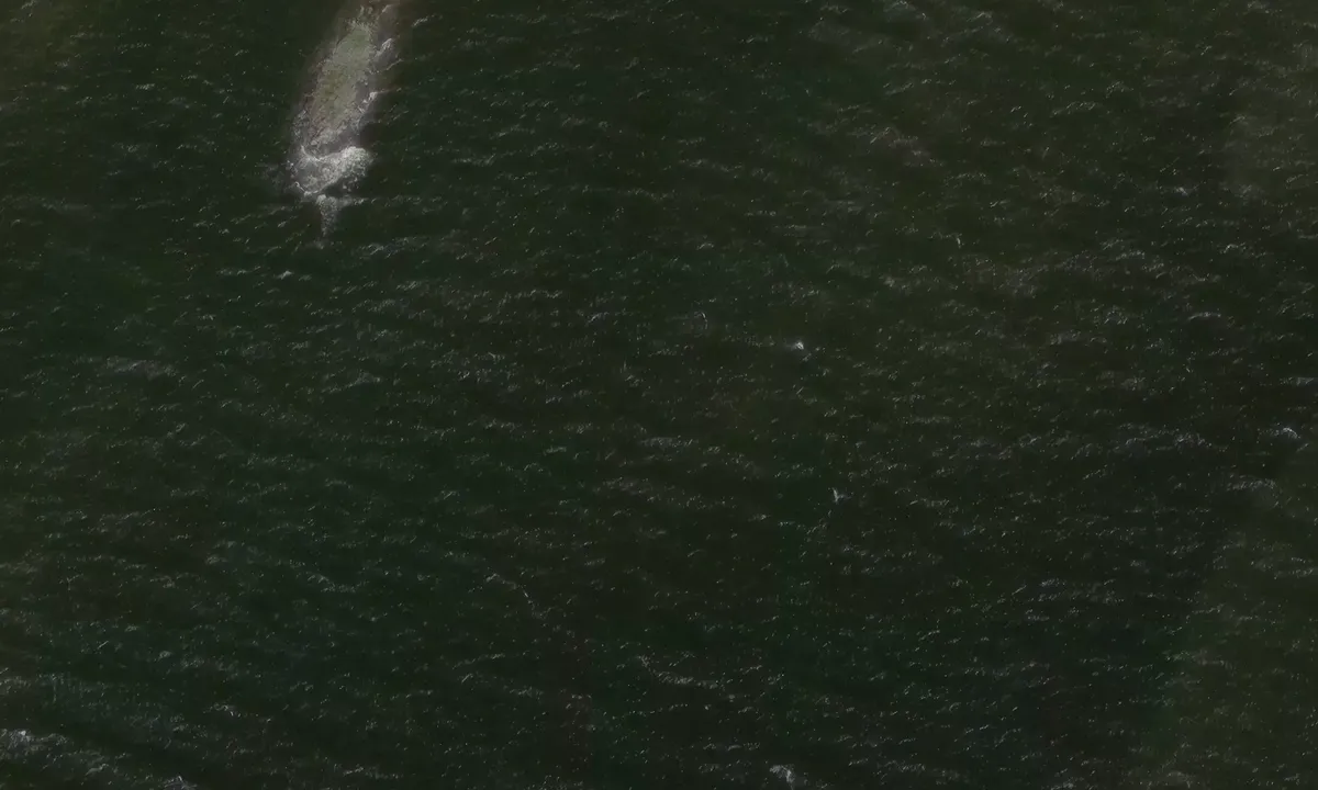 Satelite image of Kalvön - Kristinehamn