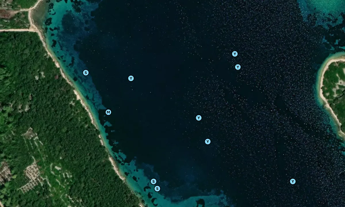 Satelite image of Kamenjak - Korčula