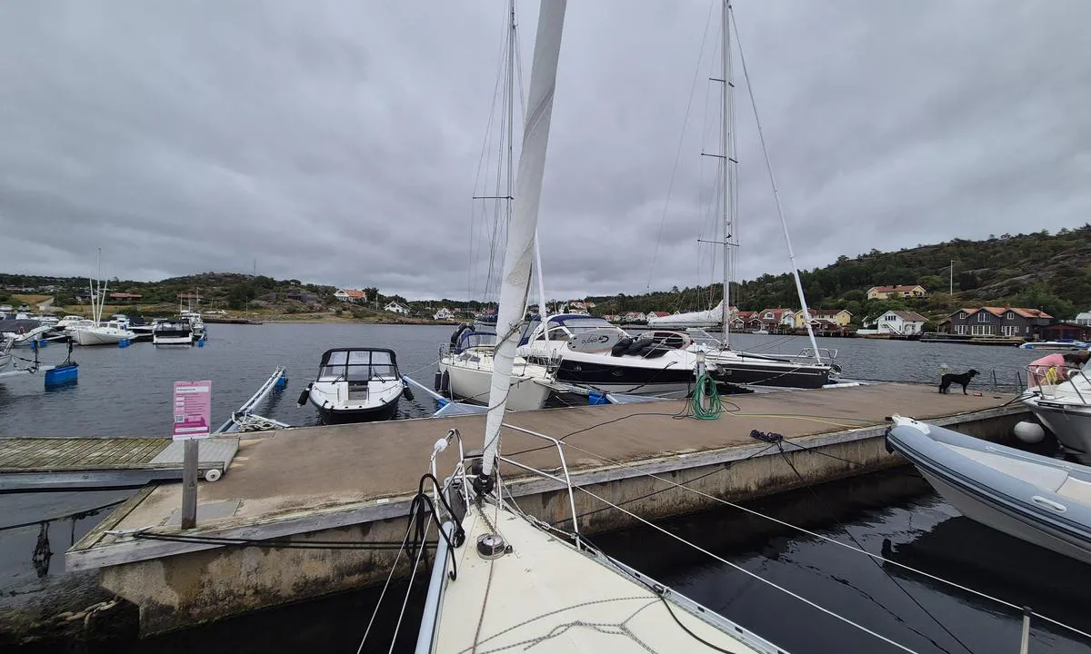 Kämpersvik gjestehavn: {"base": "no", "no": "Yttersiden av flytebrygga er 4 gjesteplasser", "se": "Yttersidan av flytbryggan har 4 g\u00e4stplatser", "en": "The outer side of the floating dock has 4 guest berths", "da": "Ydersiden af flydebroen har 4 g\u00e6stepladser", "fr": "Le c\u00f4t\u00e9 ext\u00e9rieur du ponton flottant dispose de 4 places pour visiteurs", "de": "Die Au\u00dfenseite des Schwimmstegs verf\u00fcgt \u00fcber 4 G\u00e4stepl\u00e4tze", "es": "El lado exterior del muelle flotante tiene 4 plazas para visitantes", "it": "L'esterno del pontile galleggiante ha 4 posti per gli ospiti", "pt": "O lado externo do cais flutuante tem 4 vagas para visitantes", "nl": "De buitenzijde van de drijvende steiger heeft 4 gastenplaatsen", "pl": "Zewn\u0119trzna strona pomostu p\u0142ywaj\u0105cego ma 4 miejsca dla go\u015bci", "uk": "\u0417\u043e\u0432\u043d\u0456\u0448\u043d\u044f \u0441\u0442\u043e\u0440\u043e\u043d\u0430 \u043f\u043b\u0430\u0432\u0443\u0447\u043e\u0433\u043e \u043f\u0440\u0438\u0447\u0430\u043b\u0443 \u043c\u0430\u0454 4 \u0433\u043e\u0441\u0442\u044c\u043e\u0432\u0438\u0445 \u043c\u0456\u0441\u0446\u044f", "ro": "Partea exterioar\u0103 a pontonului plutitor are 4 locuri pentru oaspe\u021bi", "tr": "Y\u00fczer iskelelerin d\u0131\u015f\u0131nda 4 misafir yeri mevcut", "el": "\u0397 \u03b5\u03be\u03c9\u03c4\u03b5\u03c1\u03b9\u03ba\u03ae \u03c0\u03bb\u03b5\u03c5\u03c1\u03ac \u03c4\u03b7\u03c2 \u03c0\u03bb\u03c9\u03c4\u03ae\u03c2 \u03c0\u03c1\u03bf\u03b2\u03bb\u03ae\u03c4\u03b1\u03c2 \u03b4\u03b9\u03b1\u03b8\u03ad\u03c4\u03b5\u03b9 4 \u03b8\u03ad\u03c3\u03b5\u03b9\u03c2 \u03b3\u03b9\u03b1 \u03b5\u03c0\u03b9\u03c3\u03ba\u03ad\u03c0\u03c4\u03b5\u03c2", "cs": "Vn\u011bj\u0161\u00ed strana plovouc\u00edho mola m\u00e1 4 m\u00edsta pro hosty", "hu": "A lebeg\u0151 m\u00f3l\u00f3 k\u00fcls\u0151 oldal\u00e1n 4 vend\u00e9ghely tal\u00e1lhat\u00f3", "fi": "Lauttalaiturin ulkopuolella on 4 vieraspaikkaa", "bg": "\u0412\u044a\u043d\u0448\u043d\u0430\u0442\u0430 \u0441\u0442\u0440\u0430\u043d\u0430 \u043d\u0430 \u043f\u043b\u0430\u0432\u0430\u0449\u0438\u044f \u043f\u0440\u0438\u0441\u0442\u0430\u043d \u0438\u043c\u0430 4 \u043c\u0435\u0441\u0442\u0430 \u0437\u0430 \u0433\u043e\u0441\u0442\u0438", "sr": "Spoljna strana plutaju\u0107eg doka ima 4 mesta za goste", "et": "Ujuvkai muuli v\u00e4lisk\u00fcljel on 4 k\u00fclalisplatsi", "lv": "\u0100rpus\u0113 eso\u0161\u0101 peldo\u0161\u0101 pontona pus\u0113 ir 4 viesu vietas", "lt": "Pl\u016bduriuojan\u010dios prieplaukos i\u0161orin\u0117je pus\u0117je yra 4 sve\u010di\u0173 vietos"}