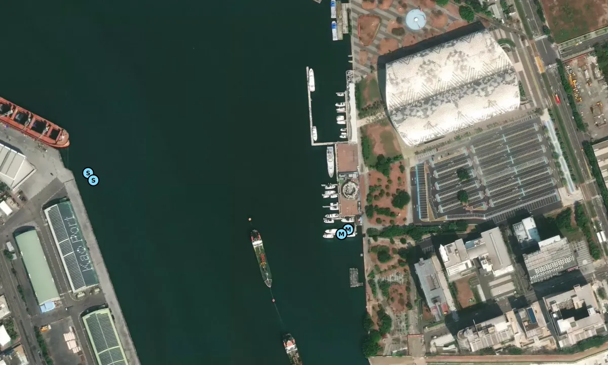 Satelite image of Kaohsiung Port Pier