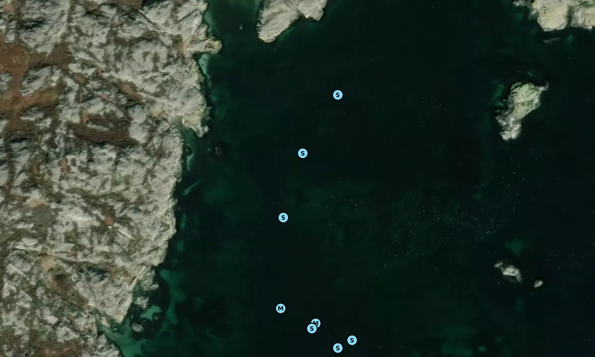 Satelite image of Käringön anchorage