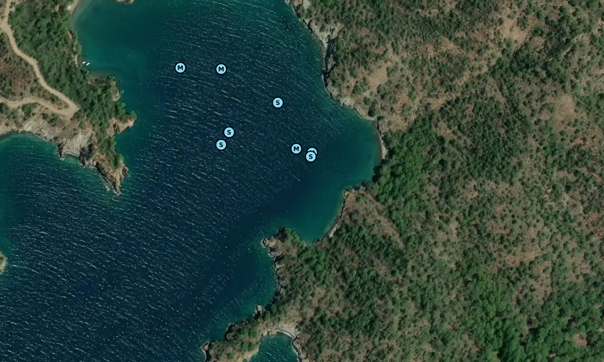 Satelite image of Katranci bay