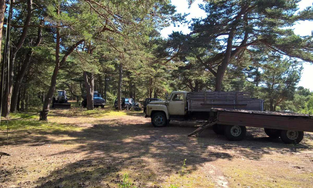 Kelnase Marina: Sand island with pine trees