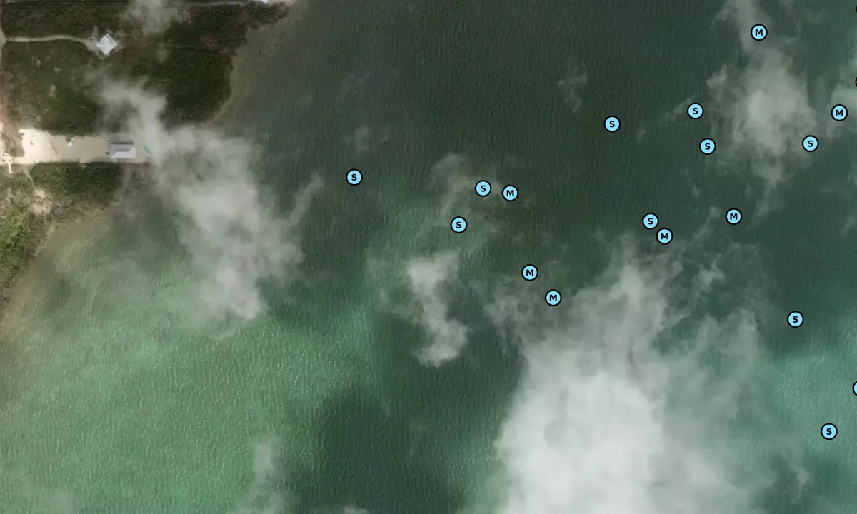 Satelite image of Key Largo