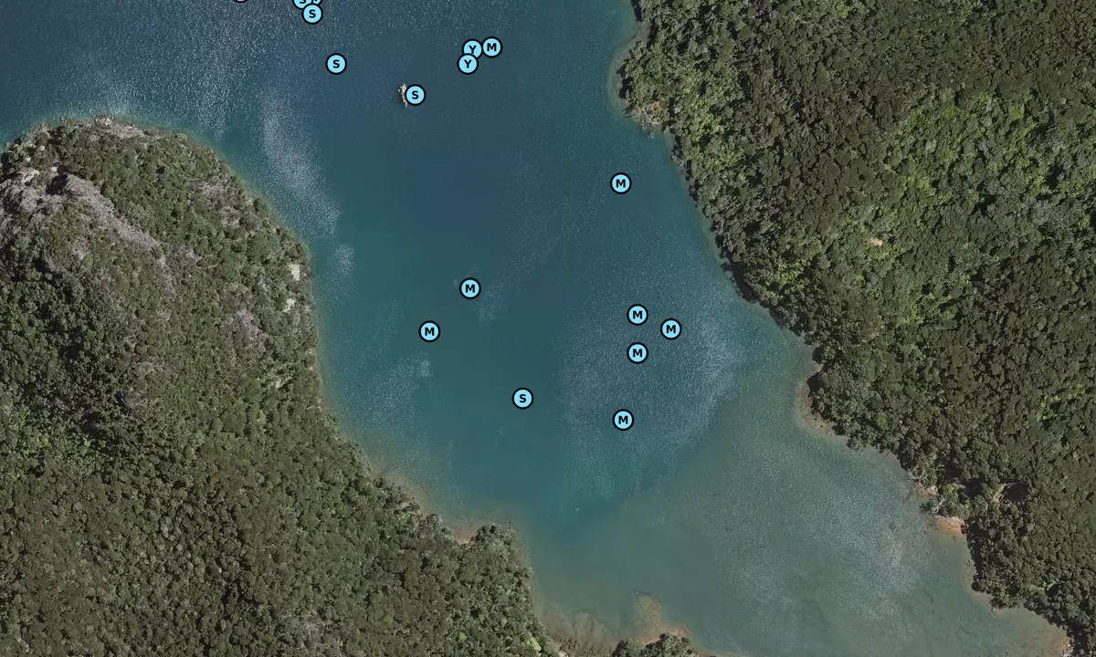 Satelite image of Kiwiriki Bay