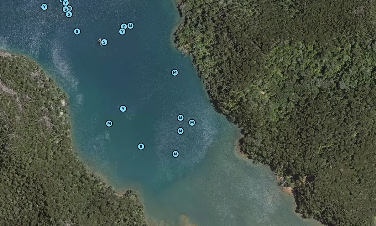 Satelite image of Kiwirki Bay