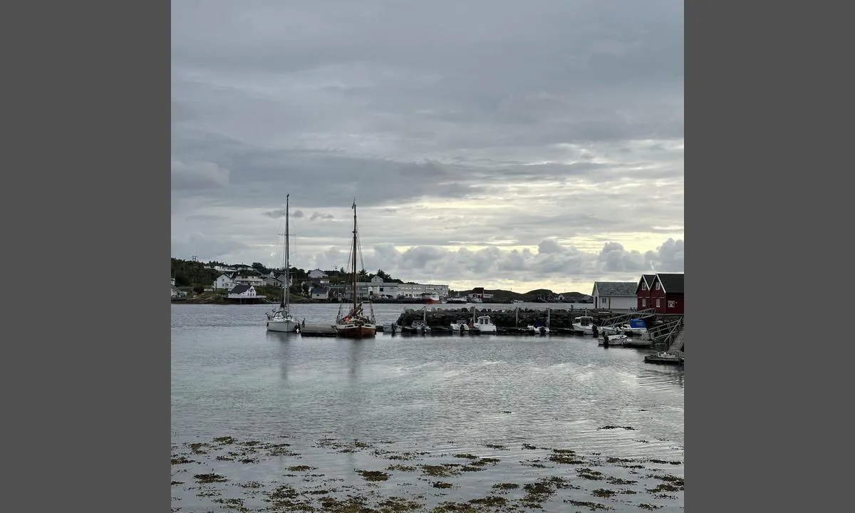 Kjønnøy småbåtshavn