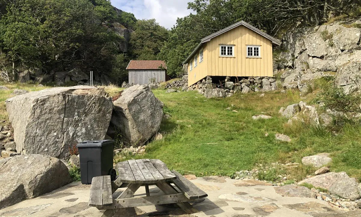Kjøpsøy