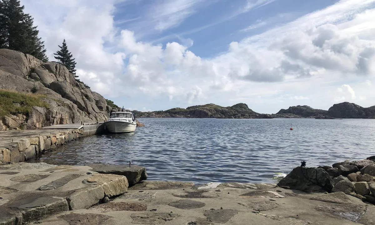 Kjøpsøy