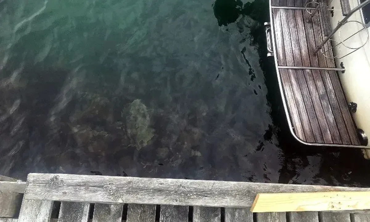 Kjøpsøy: {"base": "no", "no": "Her er grunnen jeg nevnte i et annet bilde.", "se": "H\u00e4r \u00e4r grundet jag n\u00e4mnde i en annan bild.", "en": "Here is the reason I mentioned in another image.", "da": "Her er grunden, jeg n\u00e6vnte i et andet billede.", "fr": "Voici le fond que j'ai mentionn\u00e9 dans une autre image.", "de": "Hier ist der Grund, den ich in einem anderen Bild erw\u00e4hnt habe.", "es": "Aqu\u00ed est\u00e1 el fondo que mencion\u00e9 en otra imagen.", "it": "Ecco il fondale menzionato in un'altra immagine.", "pt": "Aqui est\u00e1 o fundo que mencionei em outra imagem.", "nl": "Hier is de ondiepte die ik in een andere afbeelding noemde.", "pl": "Oto mielizna, o kt\u00f3rej wspomnia\u0142em na innym zdj\u0119ciu.", "uk": "\u041e\u0441\u044c \u0442\u0443\u0442 \u043c\u0456\u043b\u0438\u043d\u0430, \u044f\u043a\u0443 \u044f \u0437\u0433\u0430\u0434\u0443\u0432\u0430\u0432 \u043d\u0430 \u0456\u043d\u0448\u043e\u043c\u0443 \u0437\u043e\u0431\u0440\u0430\u0436\u0435\u043d\u043d\u0456.", "ro": "Aici este fundul pe care l-am men\u021bionat \u00een alt\u0103 imagine.", "tr": "\u0130\u015fte ba\u015fka bir resimde bahsetti\u011fim neden.", "el": "\u0391\u03c5\u03c4\u03cc\u03c2 \u03b5\u03af\u03bd\u03b1\u03b9 \u03bf \u03cd\u03c6\u03b1\u03bb\u03bf\u03c2 \u03c0\u03bf\u03c5 \u03b1\u03bd\u03ad\u03c6\u03b5\u03c1\u03b1 \u03c3\u03b5 \u03bc\u03b9\u03b1 \u03ac\u03bb\u03bb\u03b7 \u03b5\u03b9\u03ba\u03cc\u03bd\u03b1.", "cs": "Zde je d\u016fvod, kter\u00fd jsem zm\u00ednil na jin\u00e9m obr\u00e1zku.", "hu": "Itt van az ok, amit egy m\u00e1sik k\u00e9pen eml\u00edtettem.", "fi": "T\u00e4ss\u00e4 on pohja, johon viittasin toisessa kuvassa.", "bg": "\u0415\u0442\u043e \u0433\u043e \u043f\u043e\u0434\u0432\u043e\u0434\u043d\u0438\u044f \u043a\u0430\u043c\u044a\u043a, \u043a\u043e\u0439\u0442\u043e \u0441\u043f\u043e\u043c\u0435\u043d\u0430\u0445 \u043d\u0430 \u0434\u0440\u0443\u0433\u0430 \u0441\u043d\u0438\u043c\u043a\u0430.", "sr": "Evo razloga koji sam pomenuo na drugoj slici.", "et": "Siin on p\u00f5hjus, millele viitasin teisel pildil.", "lv": "\u0160eit ir iemesls, ko min\u0113ju cit\u0101 att\u0113l\u0101.", "lt": "\u0160tai yra dugnas, kur\u012f min\u0117jau kitame paveiksl\u0117lyje."}
