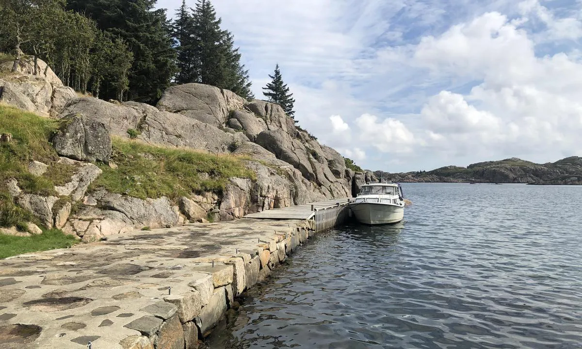 Kjøpsøy