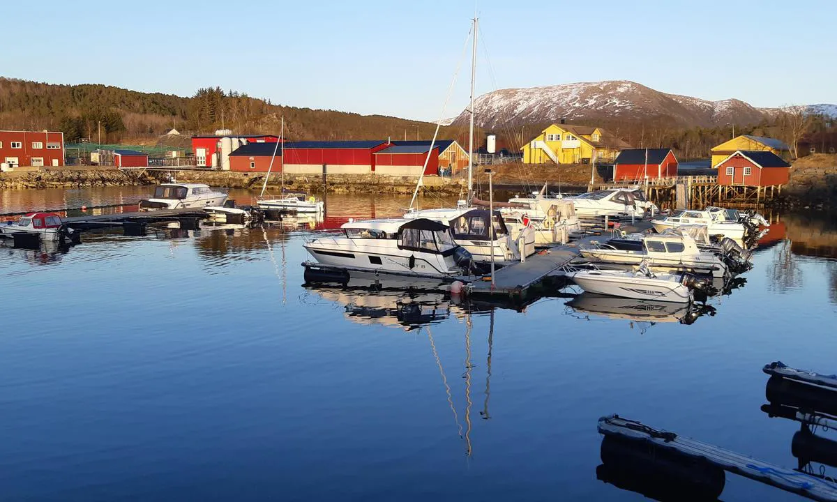 Kjørsvikbugen: Havnen med gjestebrygge ytterst.