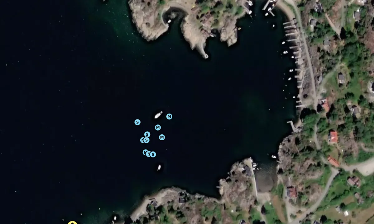 Satelite image of Kjøvangen