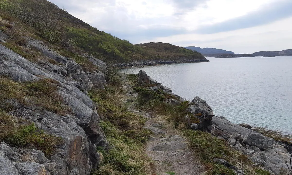 Klokkergården Marina - Rødøy: Stien til stranden. Ca 2 km hver vei (fra havnen)