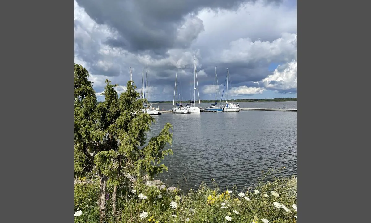 Kõiguste marina